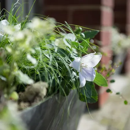 Plumes & Coton 3* Ecurie