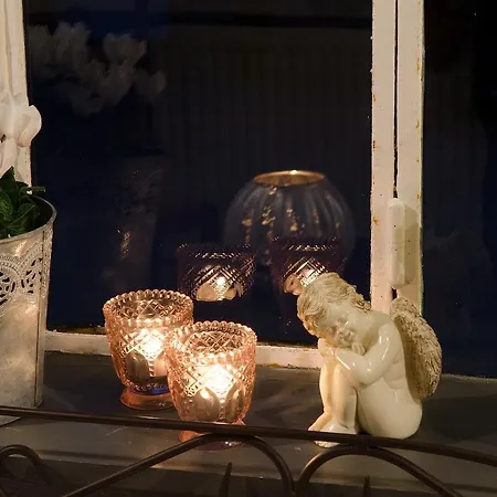 ゲストハウス Plumes & Coton 3*