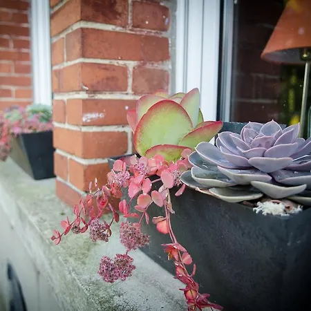 Pensión Plumes & Coton 3*