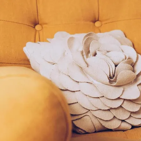 Plumes & Coton Ecurie